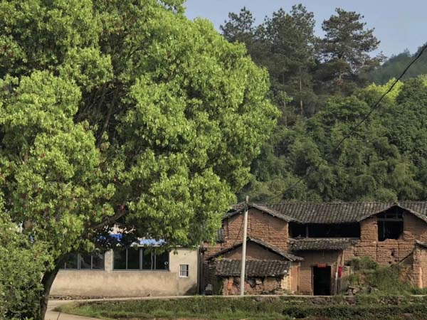 深圳房地產律師以案析法：房產證不同名字下的房產分割