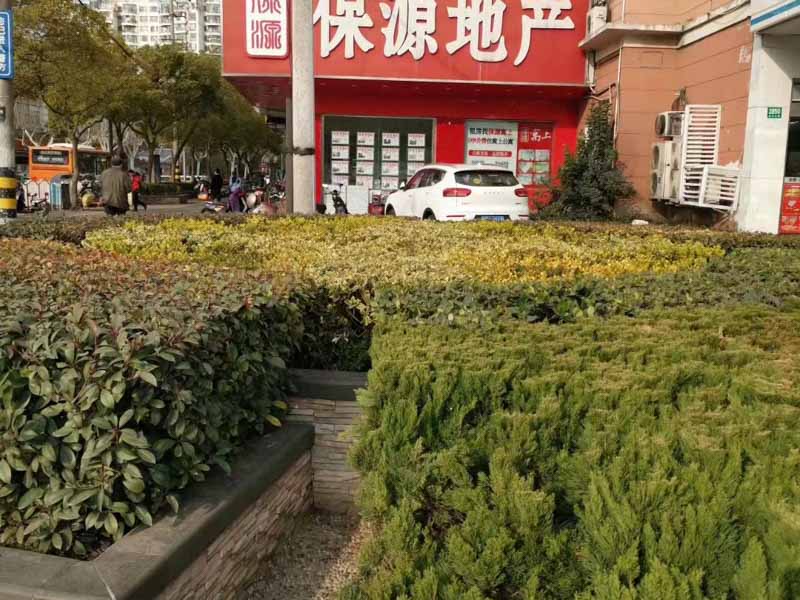 股權代持協議糾紛的管轄法院如何確定？深圳四大律師事務所告訴您