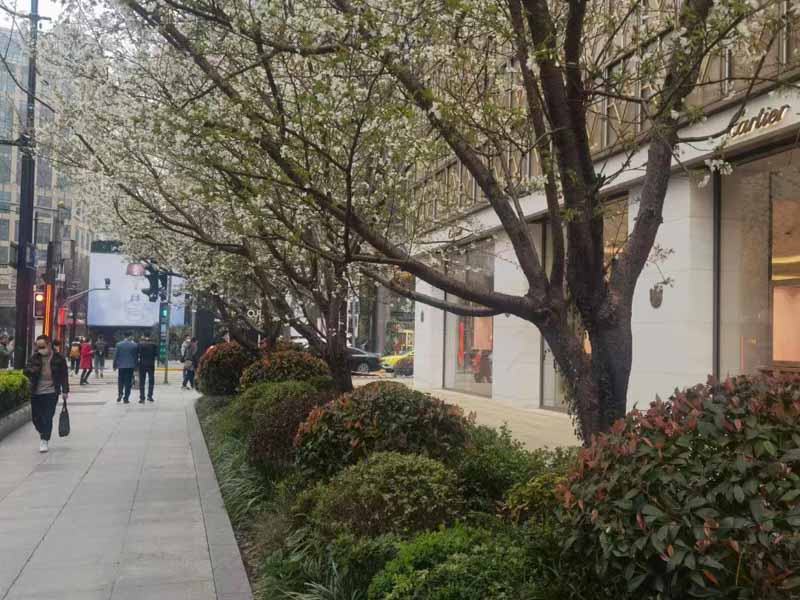 深圳工傷賠償律師帶您了解職業(yè)預(yù)防與工傷治療的關(guān)鍵措施