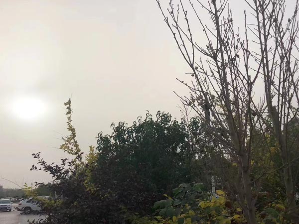 深圳著名的律師來講講掛靠車輛發(fā)生交通事故責(zé)任應(yīng)該由誰承擔(dān)
