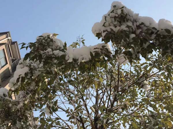 婚檢機(jī)構(gòu)未告知患者伴侶致其感染責(zé)任認(rèn)定？深圳十大律師為您講解